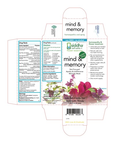 Mind And Memory (Mind And Memory)